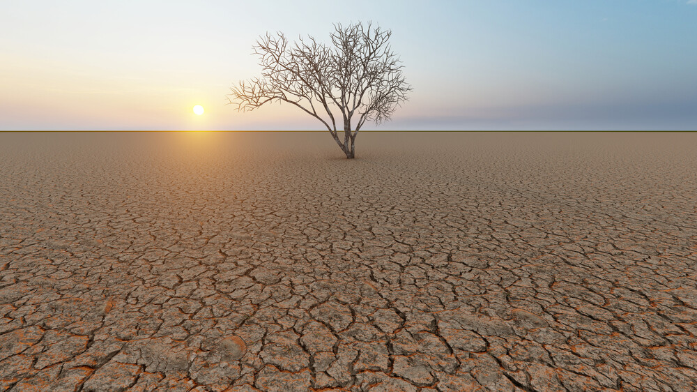 Lotta alla desertificazione e alla siccità terra da proteggere insieme