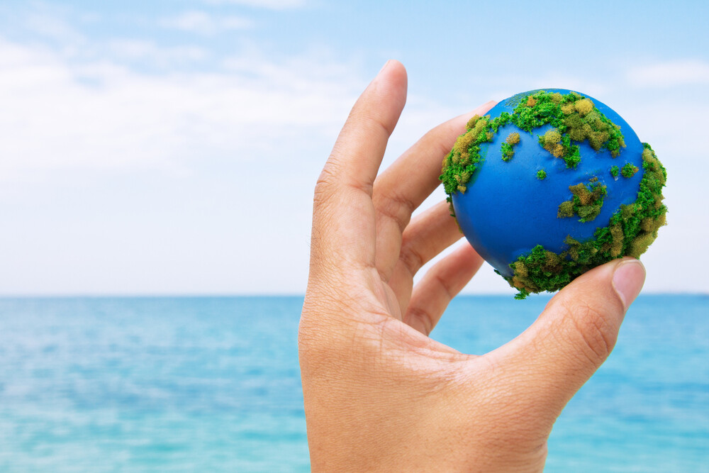 Rispetto dell’ambiente nella scuola primaria